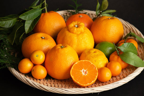 初夏が旬！おすすめの柑橘類とは？